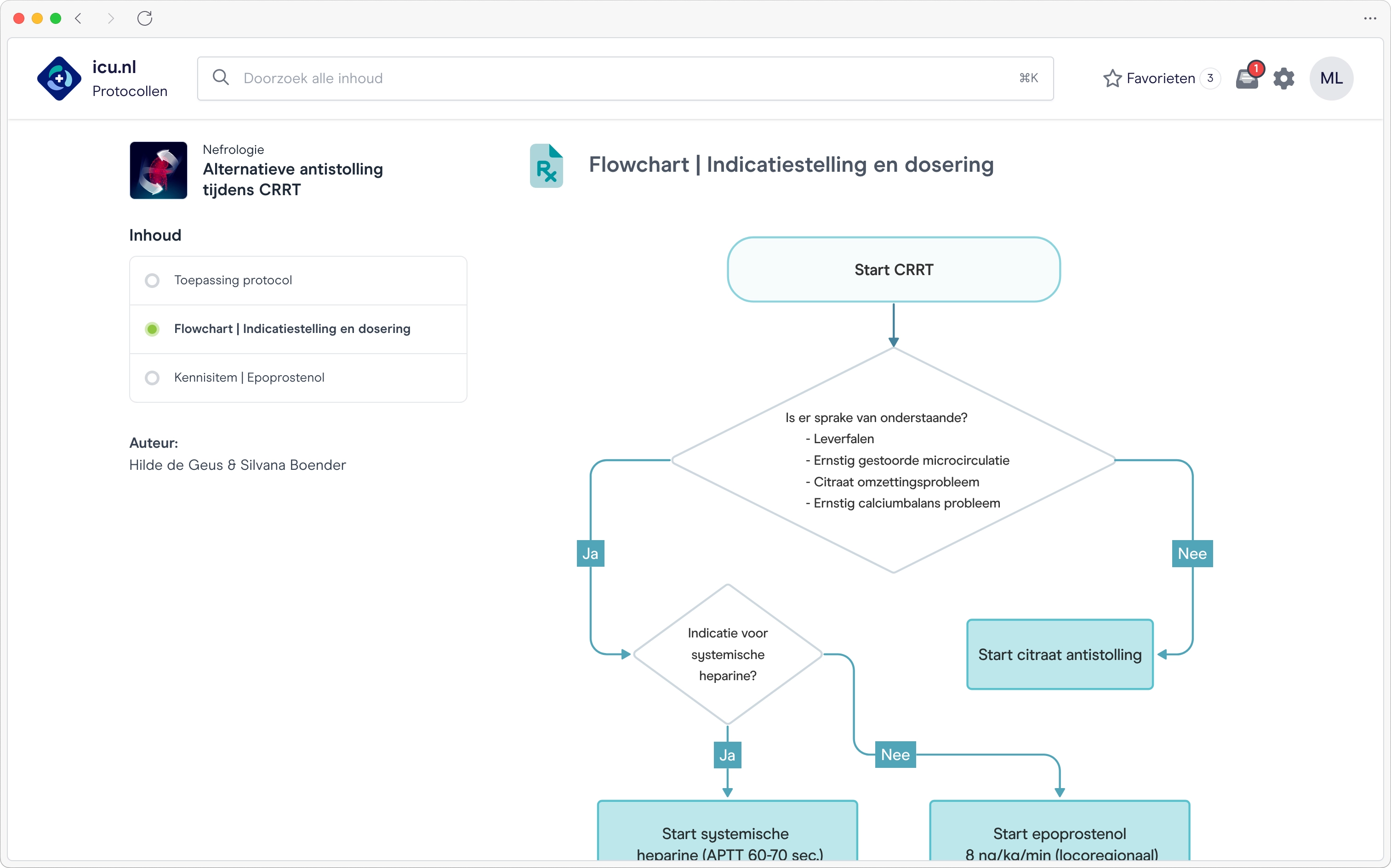 Screenshot van een pagina in de Parallel-applicatie die een stroomdiagram met gestructureerde informatie toont